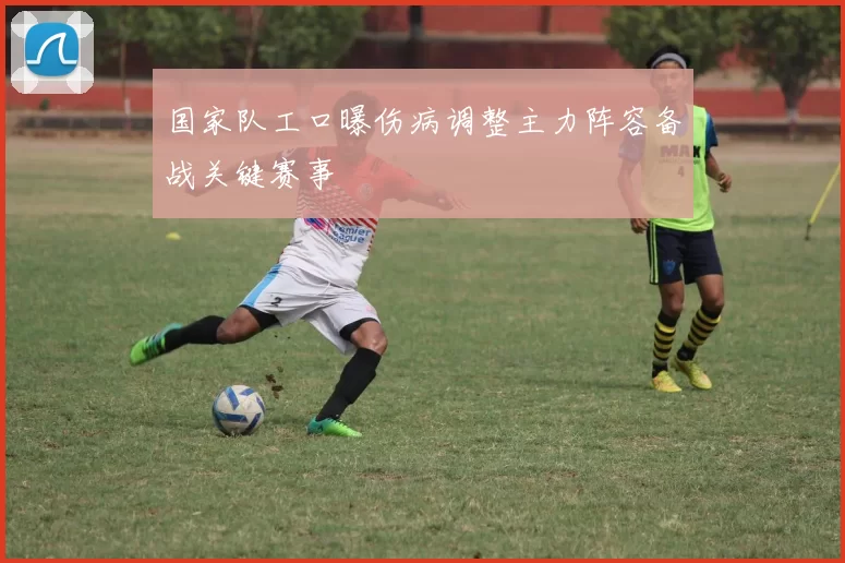 国家队工口曝伤病调整主力阵容备战关键赛事