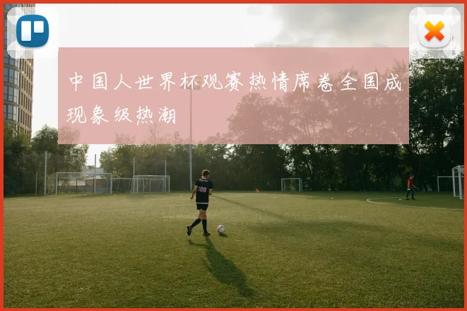 中国人世界杯观赛热情席卷全国成现象级热潮