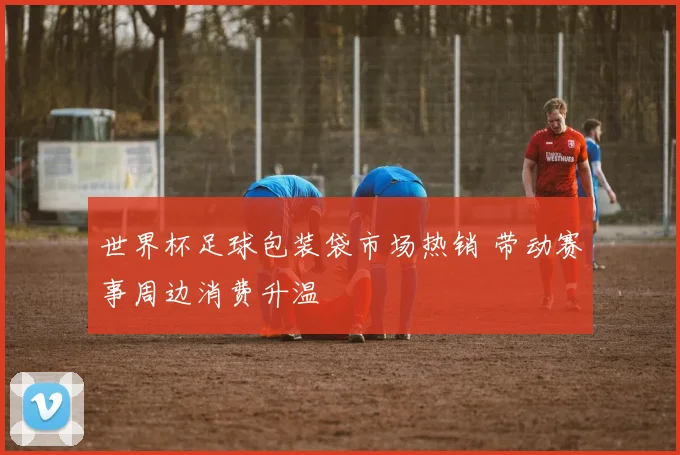 世界杯足球包装袋市场热销 带动赛事周边消费升温