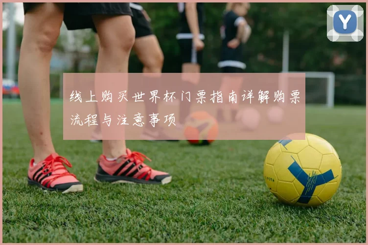 线上购买世界杯门票指南详解购票流程与注意事项